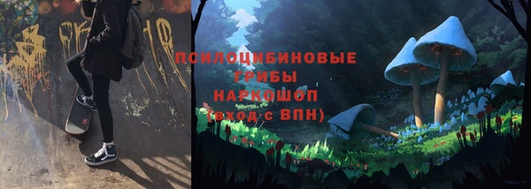 метадон Алексеевка