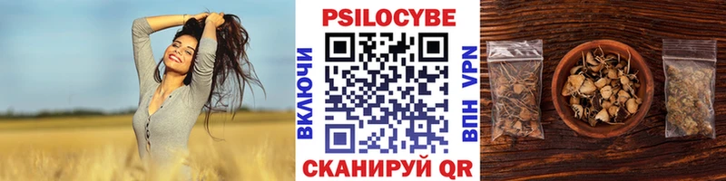 купить закладку  Прохладный  Псилоцибиновые грибы GOLDEN TEACHER 