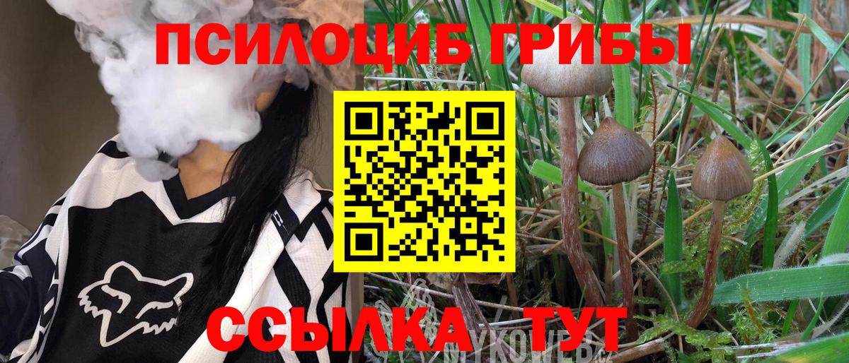 Галлюциногенные грибы мухоморы Прохладный