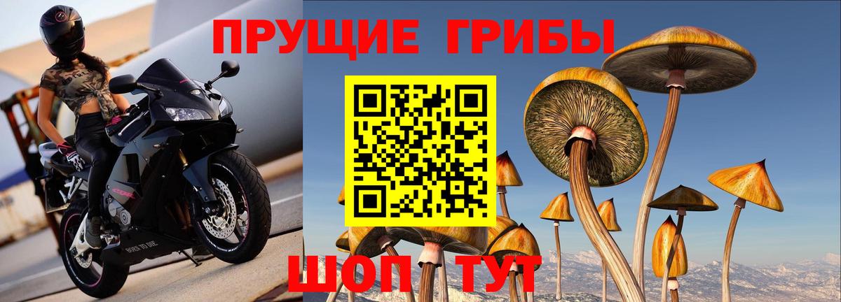 Прохладный  Галлюциногенные грибы мицелий  Псилоцибиновые грибы прущие грибы  что такое наркотик  Вход с VPN 